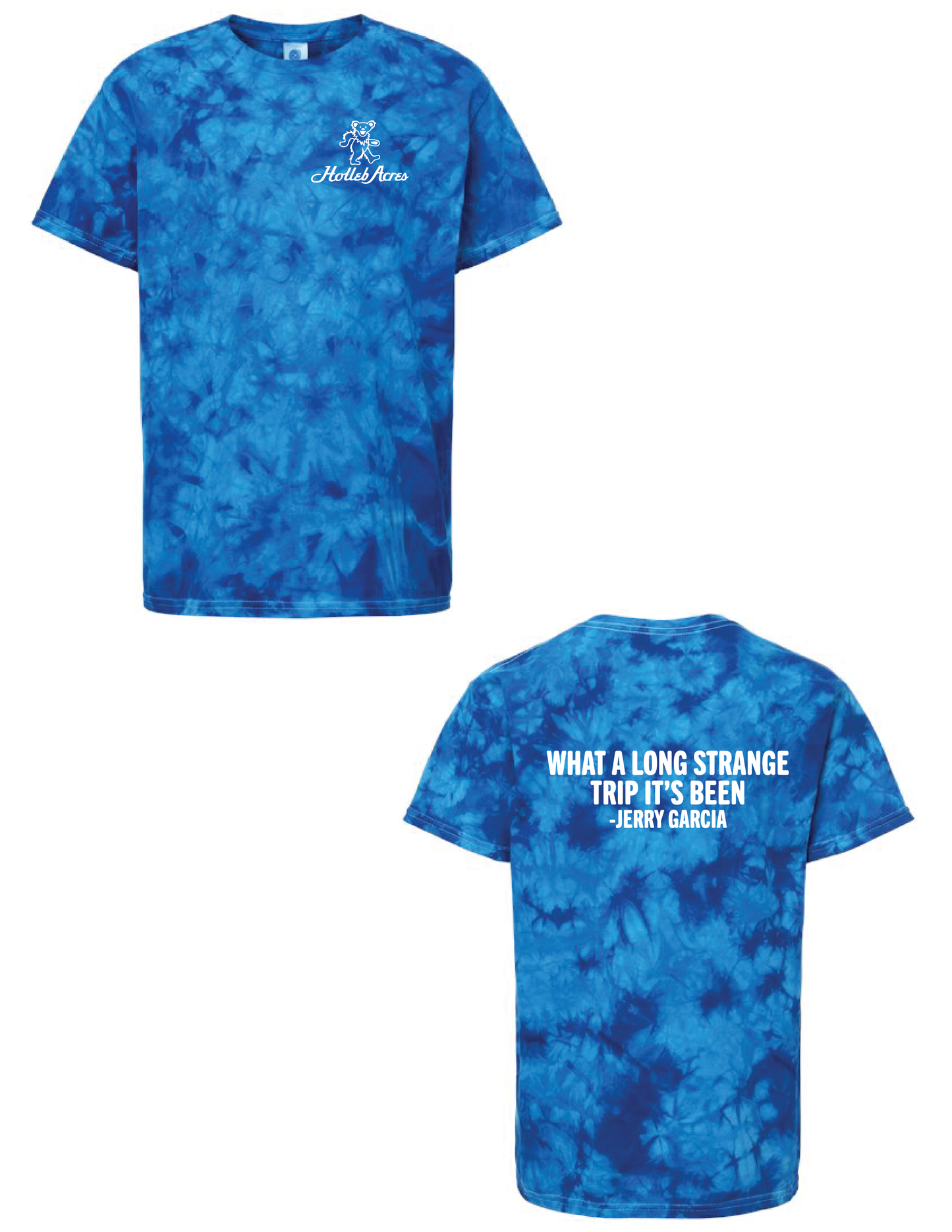 HOLLEB ACRES Blue Grateful Dead Tie Dye Tee