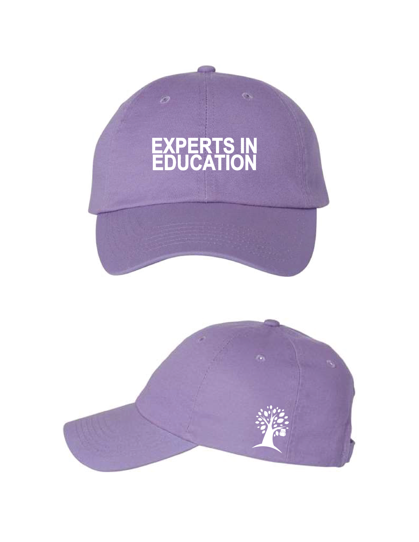 HOW ABOUT LEARNING Embroidered Experts In Education Baseball Hat