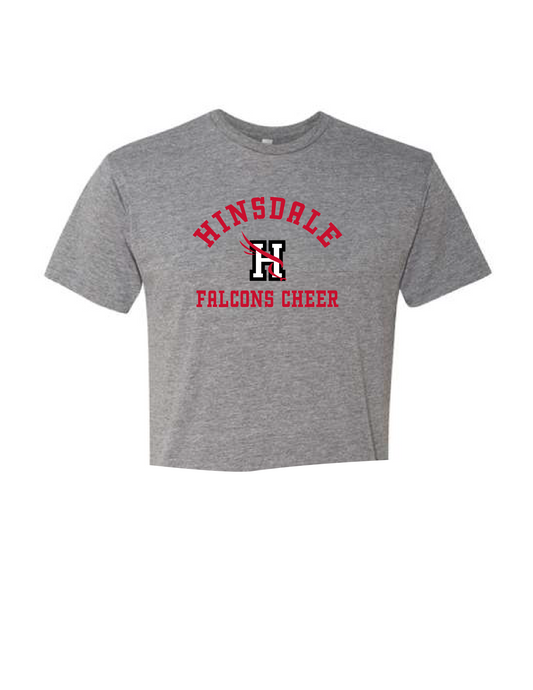 FALCONS CHEER Logo Tee or Tank