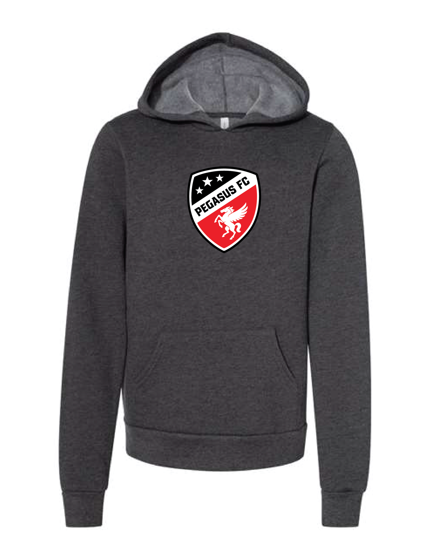 PEGASUS Logo Hooded Pullover