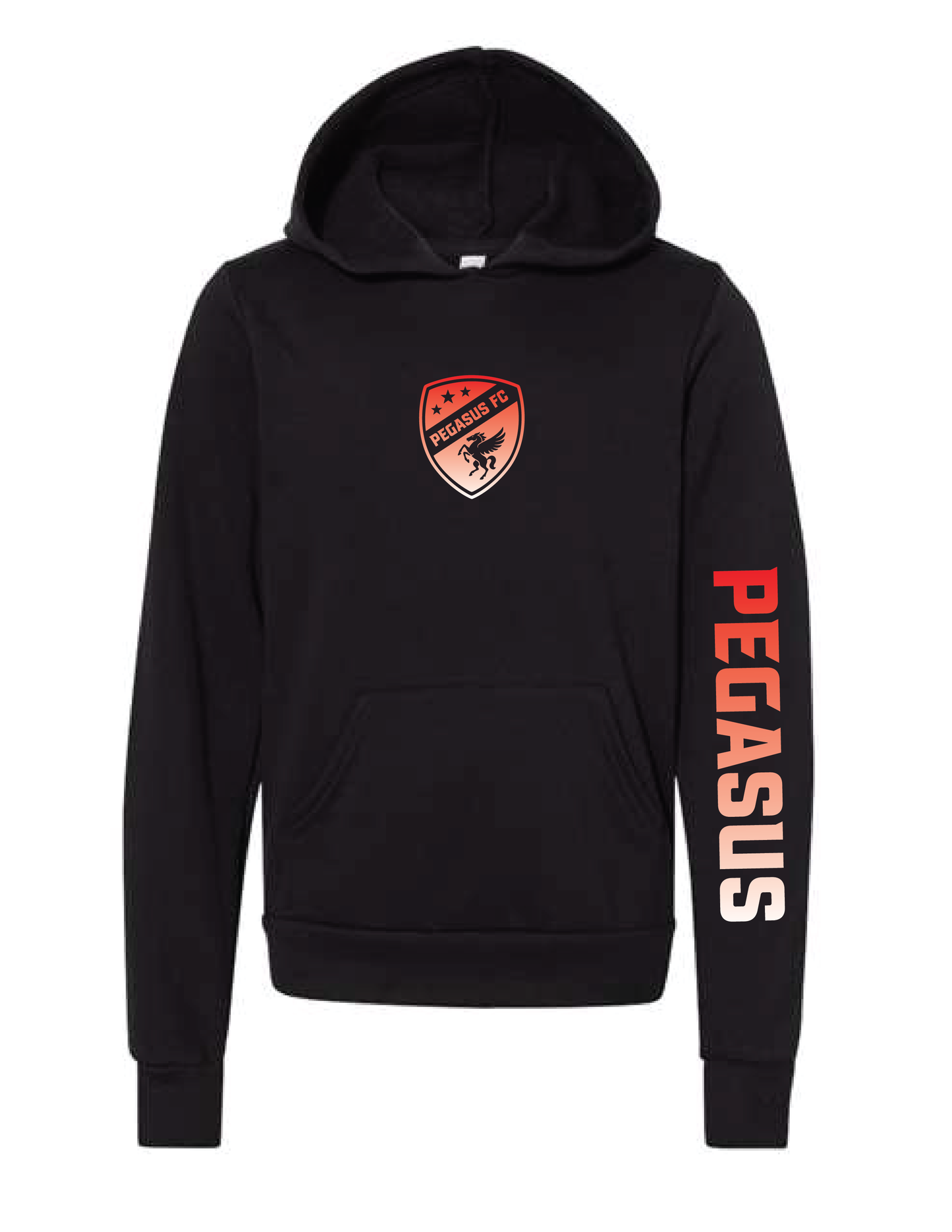 PEGASUS Ombre Hooded Pullover