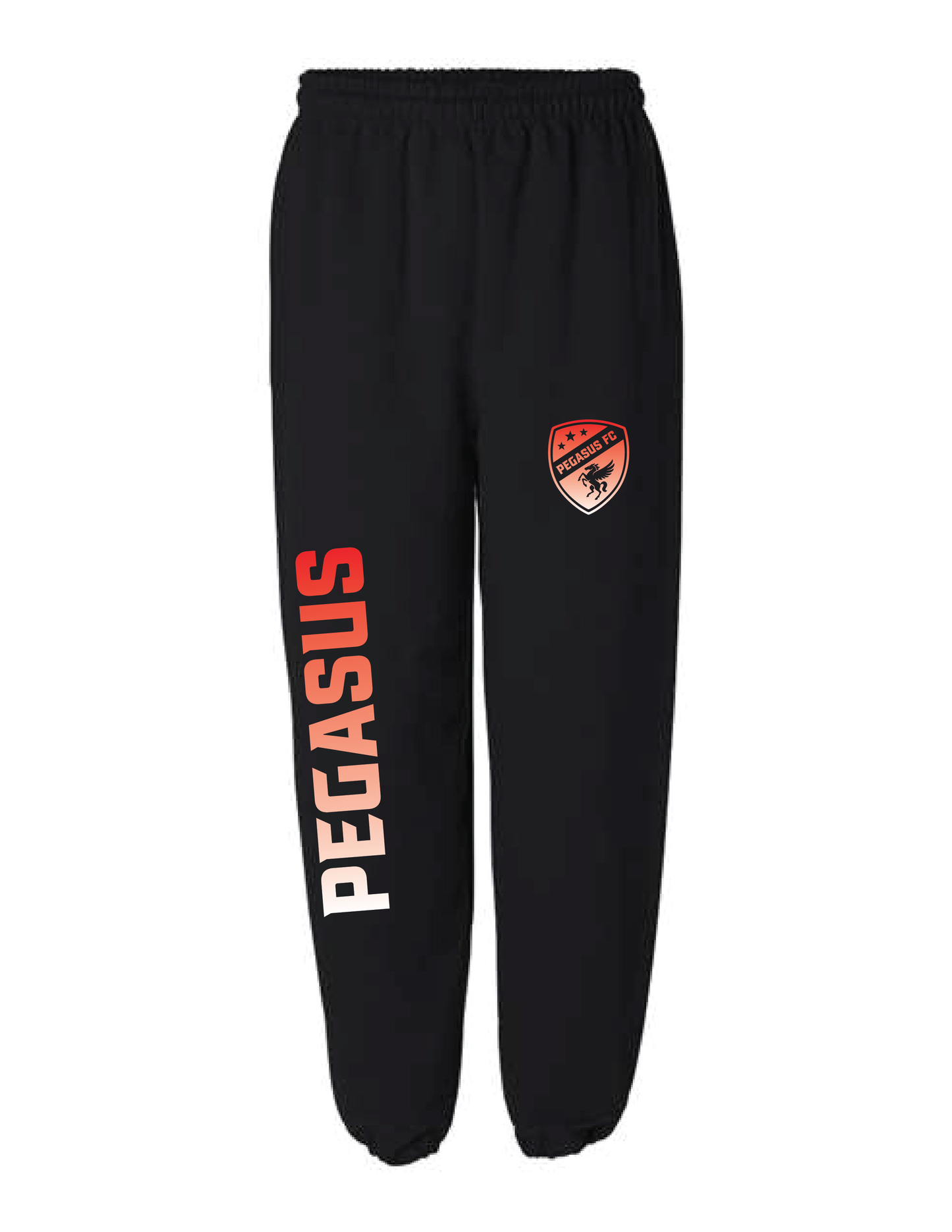 PEGASUS Ombre Sweatpants