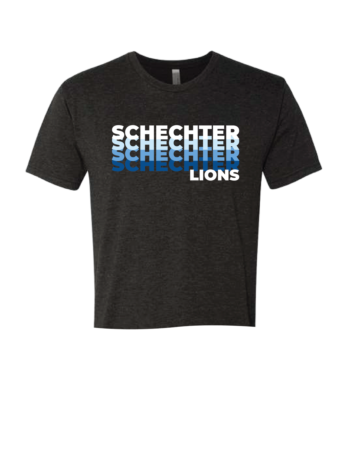 SCHECHTER Ombre Repeat Tee