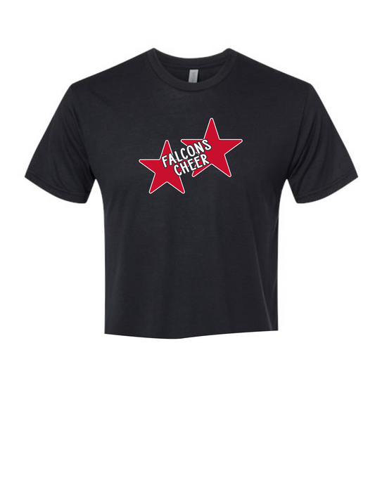 FALCONS CHEER Stars Tee or Tank