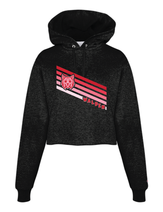 WALDEN Stripes Boxy Hooded Pullover