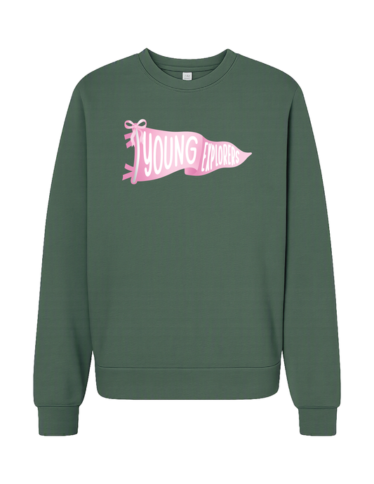 YOUNG EXPLORERS Pink Pennant Crew Neck